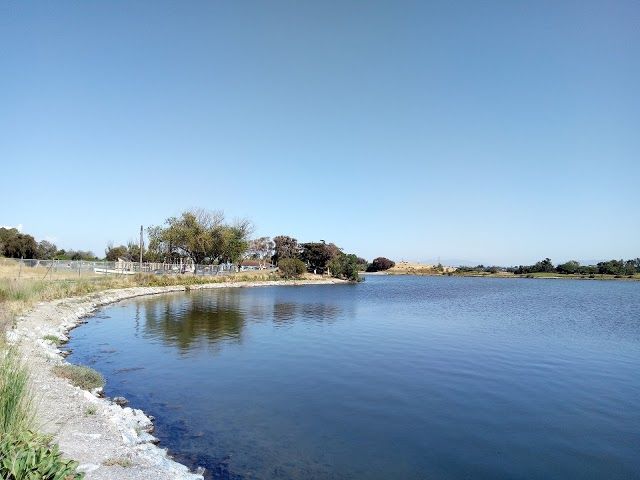 Shoreline Lake Park